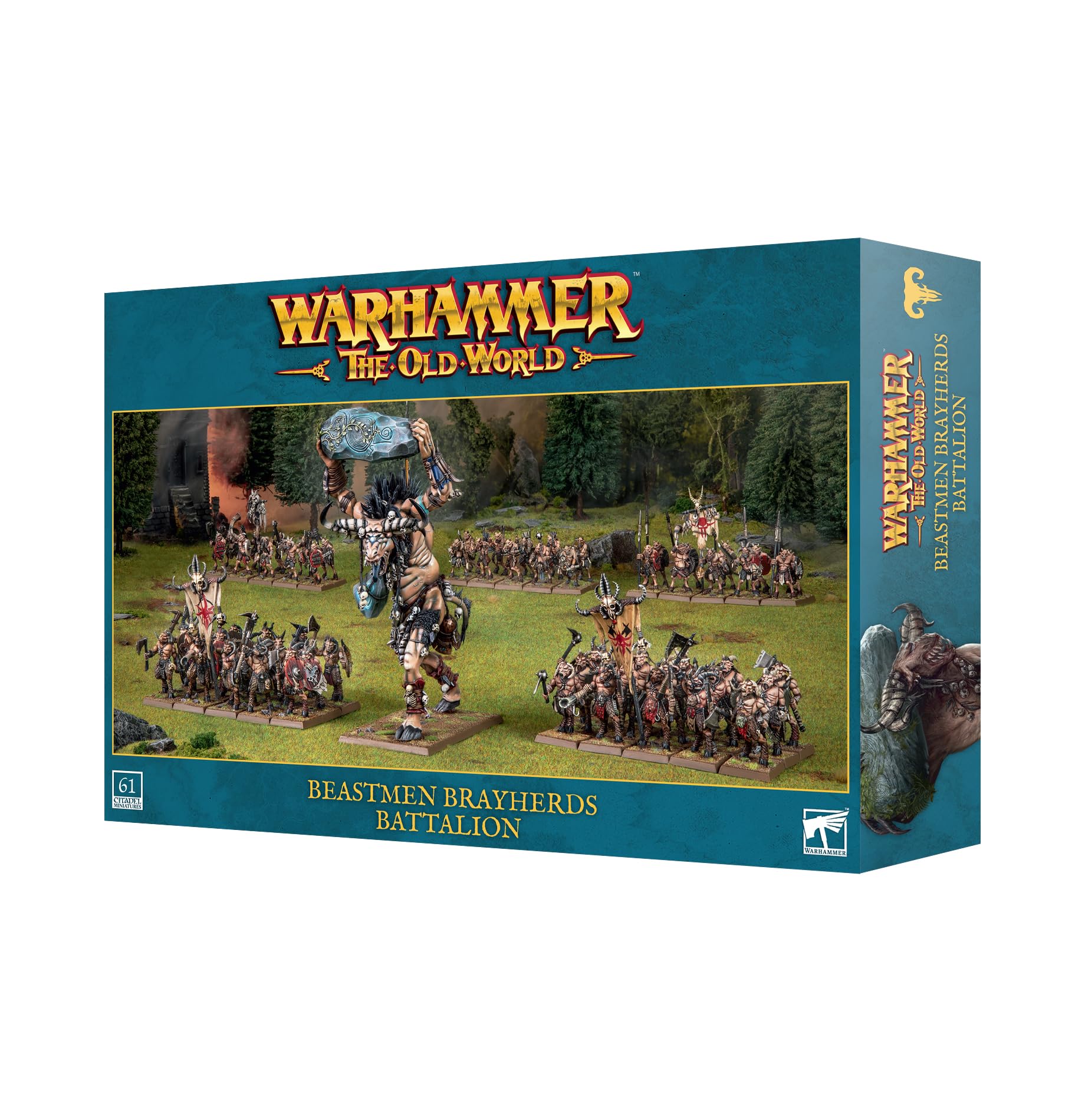 Amazon.com: Games Workshop Beastmen Brayherds Battalion Set